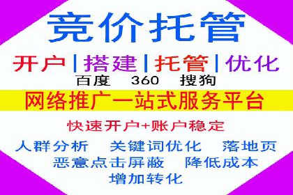 实战技巧：竞价推广案例解析与效果评估