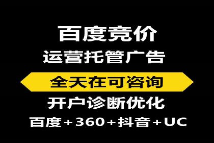 竞价推广公司的策略布局：某行业领导品牌的成功案例